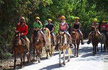 Horseback Riding Tour on the Beaches of Punta Cana