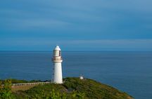 Private Helicopter Tour to 12 Apostles & Great Ocean Road 