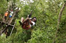 Horseback Riding Ziplines and Cenote Tour with Lunch