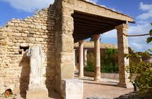 Private Day Tour Tunis Carthage Sidi Bousaid Hammamet from Sousse