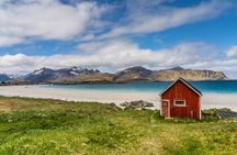 Shore Excursion Full day Private Tour in Lofoten