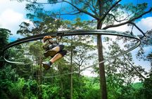 Jungle Flight Zipline Roller Coaster