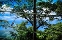 Jungle Flight Zipline Roller Coaster