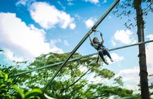 Jungle Flight Zipline Roller Coaster