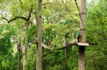 Jungle Flight Zipline Roller Coaster