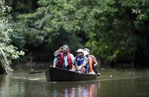 Discover Tortuguero: 1 Night 2 Days All Inclusive Package