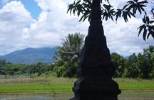 "No.1 Chiang Mai: Half Day Rice Field Vision Mountain Biking "