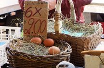 Flavours of Turin Walking Tour