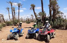 Quad bike ride 2h and camel 30min to the Palmeraie of Marrakech