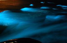 Luminous Lagoon from Montego Bay with private transfers