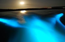 Luminous Lagoon from Montego Bay with private transfers