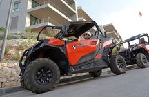 Korcula Island Private Buggy Beach Hunting Safari with lunch