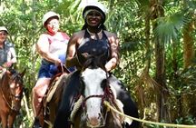 Complete Shared ATV Tour Horse Zip Lines Cenote and Lunch