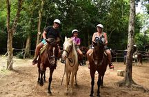 Complete Shared ATV Tour Horse Zip Lines Cenote and Lunch