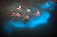 Private Tour in the Glistening Waters from Montego Bay
