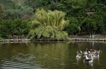 Half Day Private Tour to Botanical Garden in Chania