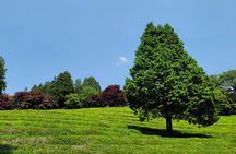 Boseong Tea Plantation & Suncheon National Garden[Train+Bus]