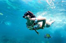 From Phuket: Phi Phi, Maya and Bamboo Islands Full Day Visit