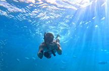 Deluxe Turtle Snorkeling Escapade at Waikiki