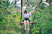 Ubud Private Tour : Ubud Temple and Authentic of Ubud 