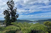 West Auckland Blacksand Beach Tour