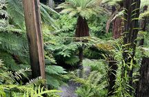 West Auckland Blacksand Beach Tour