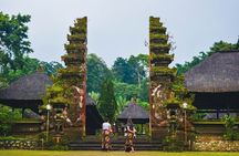 Jatiluwih Batukaru Mountain Nature's Best Tour
