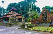 Jatiluwih Batukaru Mountain Nature's Best Tour