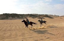 Private Horse Riding Tour in Luxor West Bank