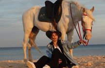 Private Horse Riding Tour in Luxor West Bank