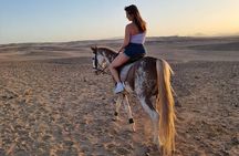 Private Horse Riding Tour in Luxor West Bank