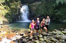 Transfer from Da Nang or Hoi An to Hue via Bach Ma National Park