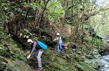 Transfer from Da Nang or Hoi An to Hue via Bach Ma National Park