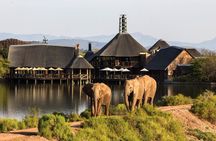 2 Day Small Group Garden Route Big 5 Safari Tour from Cape Town