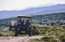 2 Day Small Group Garden Route Big 5 Safari Tour from Cape Town