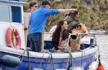 Howth Coastal Boat Tour (Ireland's Eye Ferries 50 mins trip)