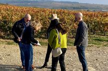 Discover the great wines of Vosne-Romanée 