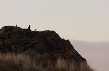 Private Photography Tour in Haugesund