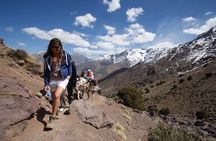 Marrakech Atlas Mountains Hiking Tour: Talamrout Summit 2616m