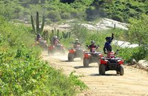 ATV Tour, Camel Ride, Tequila Tasting and Mexican Buffet Lunch