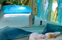 "Thai Reiki Massage: A Fusion of Tranquility and Healing"