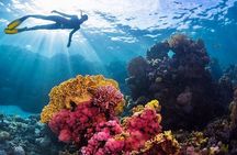 Sunset Sea Trip Private Boat & Snorkeling with Transfer- Hurghada