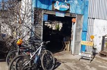 Taco Ride: Discover the World's Best Fish Tacos by Bike