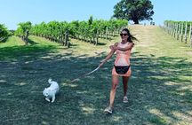 Private Dog Friendly Wine Tour with your Local Guide