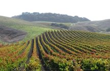Wine Country Van Tour in Santa Ynez Valley