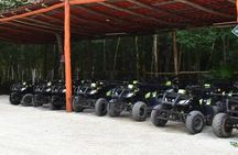 Shared ATV Tour Ziplines and Cenote with Lunch