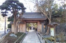 Private Old Temples Guided Tour in Kamakura