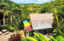 Bob Marley's Birthplace & Mausoleum from MontegoBay Private Tour