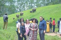 5-Days Private Kerala Tour with Sightseeing Tickets