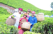 5-Days Private Kerala Tour with Sightseeing Tickets